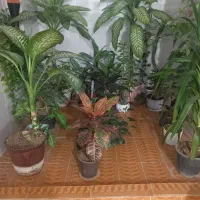 خانه-اجاره-ای