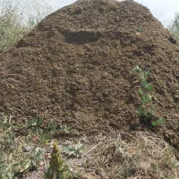 کود حیوانی گوسفندی و گاوی|خدمات باغبانی و درختکاری|اهر, |دیوار