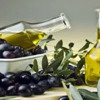 زیتون. را ه ن م ای  ایخم