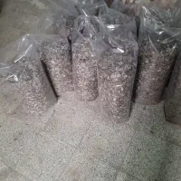 تخمه|خوردنی و آشامیدنی|نیشابور, دربقاضی|دیوار