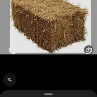 فروش پرس کاه گندم