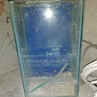 آکواریوم