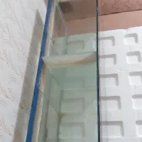 اکواریوم یک متری تر تمیز|ماهی|گرگان, |دیوار