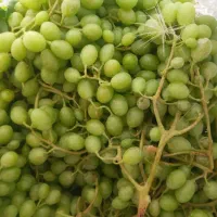 غوره سپیدانن