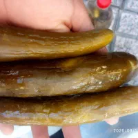 خیار شور