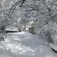 زمین-داخل-بافت