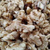 گردو کوهستان|خوردنی و آشامیدنی|بردسیر, |دیوار