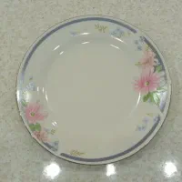پیش دستی چینی|ظروف سرو و پذیرایی|اصفهان, طامه|دیوار