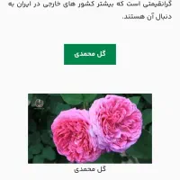 نیاز به وام