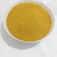 کشک زرد گوسفندی