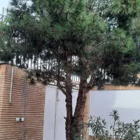 300متر-ویلایی-150متر-بنا-3خواب