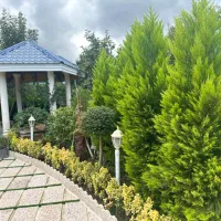 ویلای ۳۳۴ متری با ویو ابدی (نشتارود)