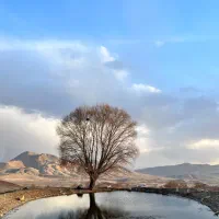 کامو زمین فروشی