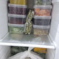 ظروف در دار دونه ای ۱۵تومن