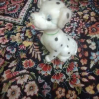 اساب   بازی   سگ