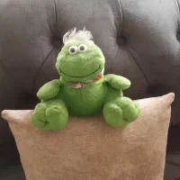 گلشهر|اسباببازی|کرج, گلشهر|دیوار