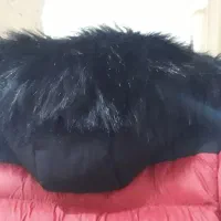 کاپشن|لباس|رشت, نظری|دیوار