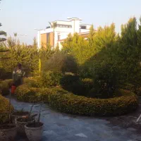 علف تراشی هرس درخت برش چوب کاشت نهال|خدمات باغبانی و درختکاری|عباس‌آباد, |دیوار