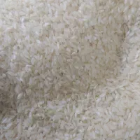 برنج کامفیروزی نورسید|خوردنی و آشامیدنی|شیراز, شریف‌آباد|دیوار
