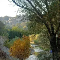 364متر-زمین-رشت-صومعه-سرا-ضیابر-میانگسگر