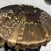 مرکز اصلی خرید مو ی طبیعی در قم به بالاترین قیمت