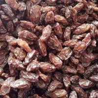 کشمش|خوردنی و آشامیدنی|زنجان, |دیوار