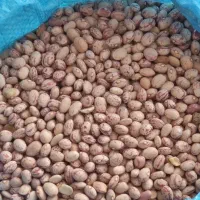مواد غذایی بهترین حبوبات و با کیفیت زیر قیمت بازار