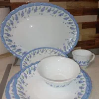 سرویس آرکوپال اصل فرانسه