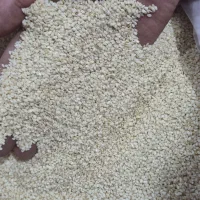 کنجد سفید پاکستانی