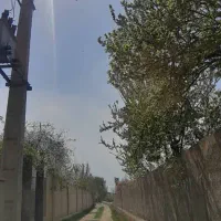 زمین ۴ دیواری سهیلیه