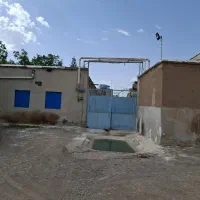 مرغداری