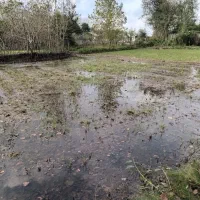 فروش زمین کشاورزی واقع در ارباستان لاهیجان