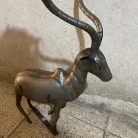 گوزن  علامت