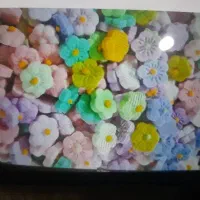 قندونبات گیاهی دمنوشی