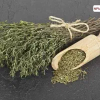 اسخدام ادمین مجرب