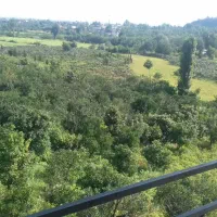 ویلا 240 متری تنکابن معاوضه با ملک اصفهان