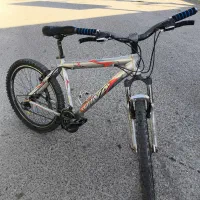 دوچرخه حرفه ای