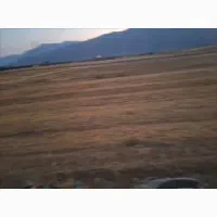 زمین بابامیدون