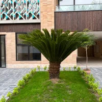 89متردفترکاربهترین-برج-پاسداران-زمرد