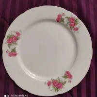 بشقاب