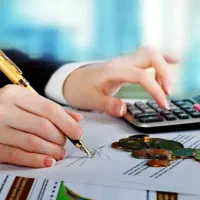 مشاور حرفه ای در حوزه مالی ، حسابداری و مالیاتی