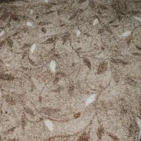 موکت ظرفیت مصور یکسال کار