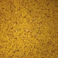 بذریونجه مغان درجه یک با تناژت بالا|خدمات باغبانی و درختکاری|قشلاق دشت, |دیوار