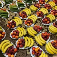 باغ جهت جشن و مراسمات|خدمات پذیرایی، مراسم|سنندج, |دیوار