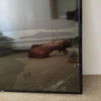 تلویزیون ال جی