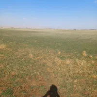 اجاره-زمین-37هزار-متر-زمین-کشاورزی