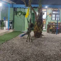 کافه رستوران