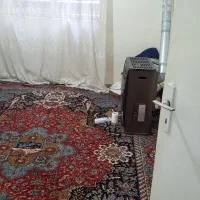 همخانه هم خونه همخونه آقا|اجارهٔ آپارتمان|تهران, دانشگاه شریف|دیوار