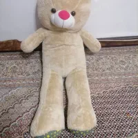 خرس پولیشی نرم