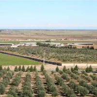 باغی-ویلایی-صنعتی-دامی-وپرورشی
